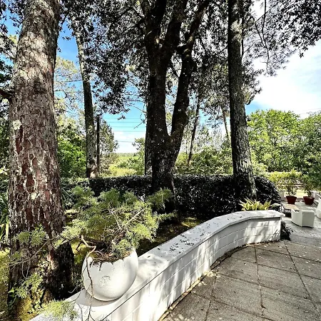 Villa Pyla Magnifique Maison Avec Piscine Proche De La Dune Pleine De Charme *